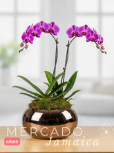 Orquídeas para un momento especial