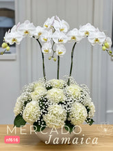 Delirio floral con Orquídeas