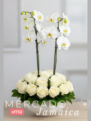 Gran Torre Nevada Nido de Rosas