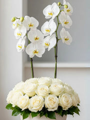 Gran Torre Nevada Nido de Rosas