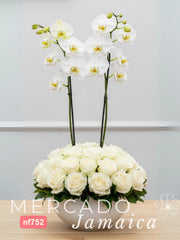 Gran Torre Nevada Nido de Rosas