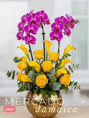 Opulencia Solar . Orquídeas Phalaenopsis