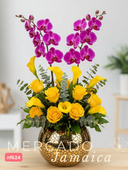 Opulencia Solar . Orquídeas Phalaenopsis