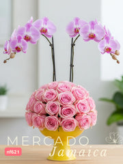 Bella y Hermosa Arreglo con Orquídeas