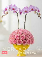 Bella y Hermosa Arreglo con Orquídeas