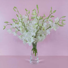 Arreglo Orquídeas Honor Valkirias