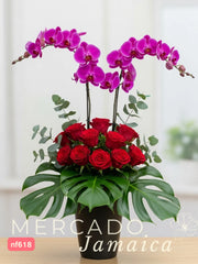 Orquídeas Sobredosis Floral