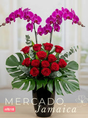 Orquídeas Sobredosis Floral