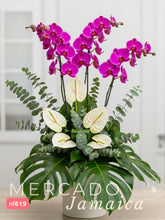 Opulencia tropical con Orquídeas