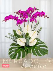Opulencia tropical con Orquídeas