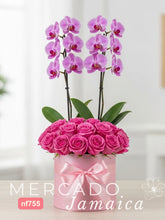 Elegancia Pink Nido con Rosas