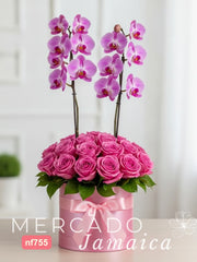 Elegancia Pink Nido con Rosas