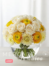 Lujo Cremoso: Dalias de Temporada