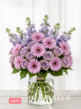 Campo de Lavanda: Rosas y Gerberas