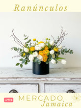 Africa Floral con Tulipanes