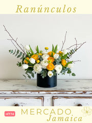 Africa Floral con Tulipanes