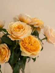 Rosas Inglesas con Estatice y Limonium