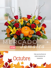 Rosas Rojas Otoño Encendido