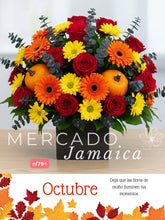 Cálido Esplendor de Octubre