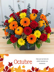 Cálido Esplendor de Octubre