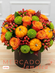 Luz de Calabacita con Yokos