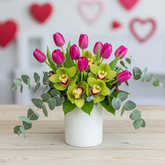 Tulipanes fucsia encanto febrero