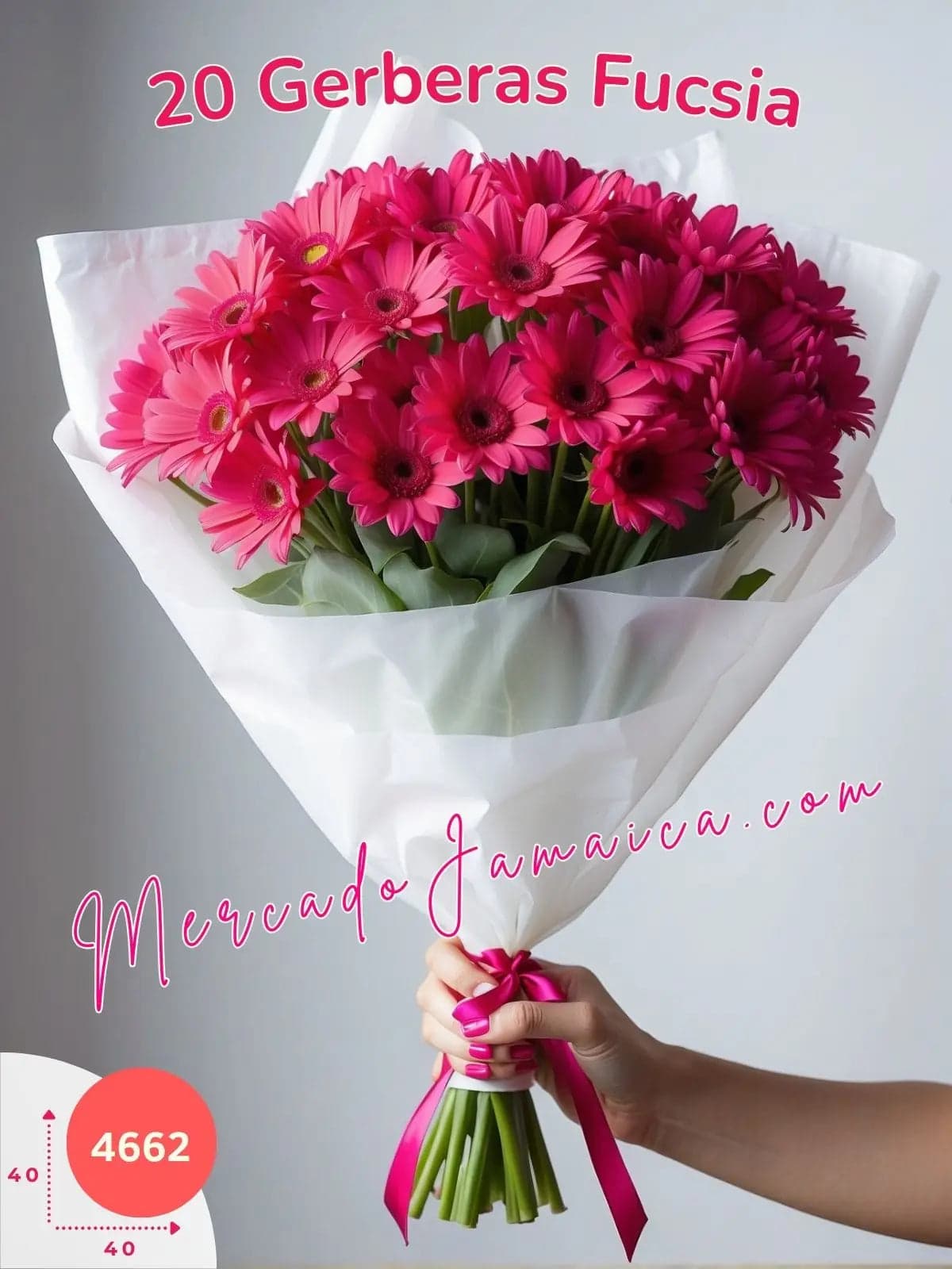 Ramo 20 Gerberas Fucsia a Domicilio CDMX