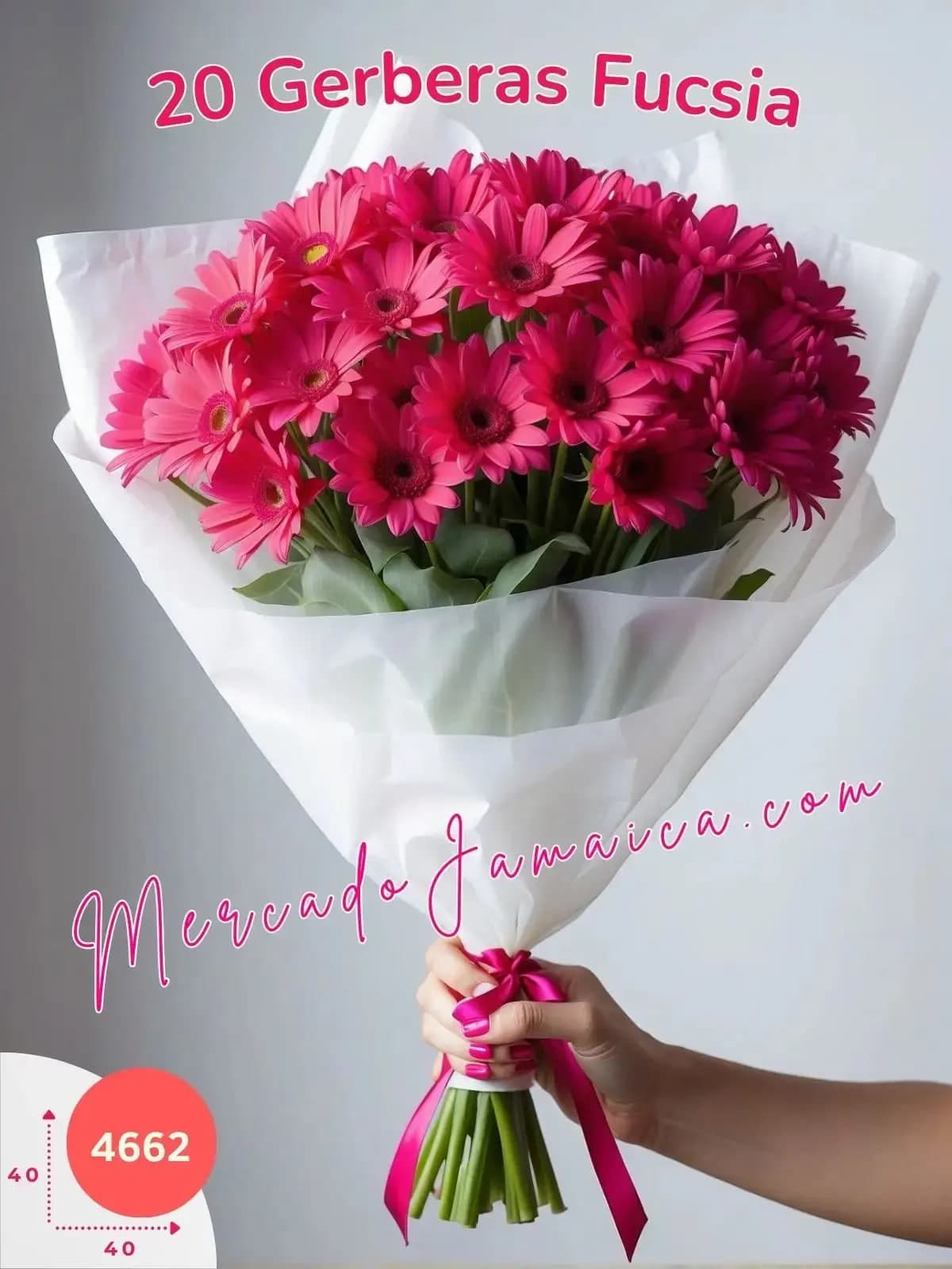 Ramo 20 Gerberas Fucsia a Domicilio CDMX