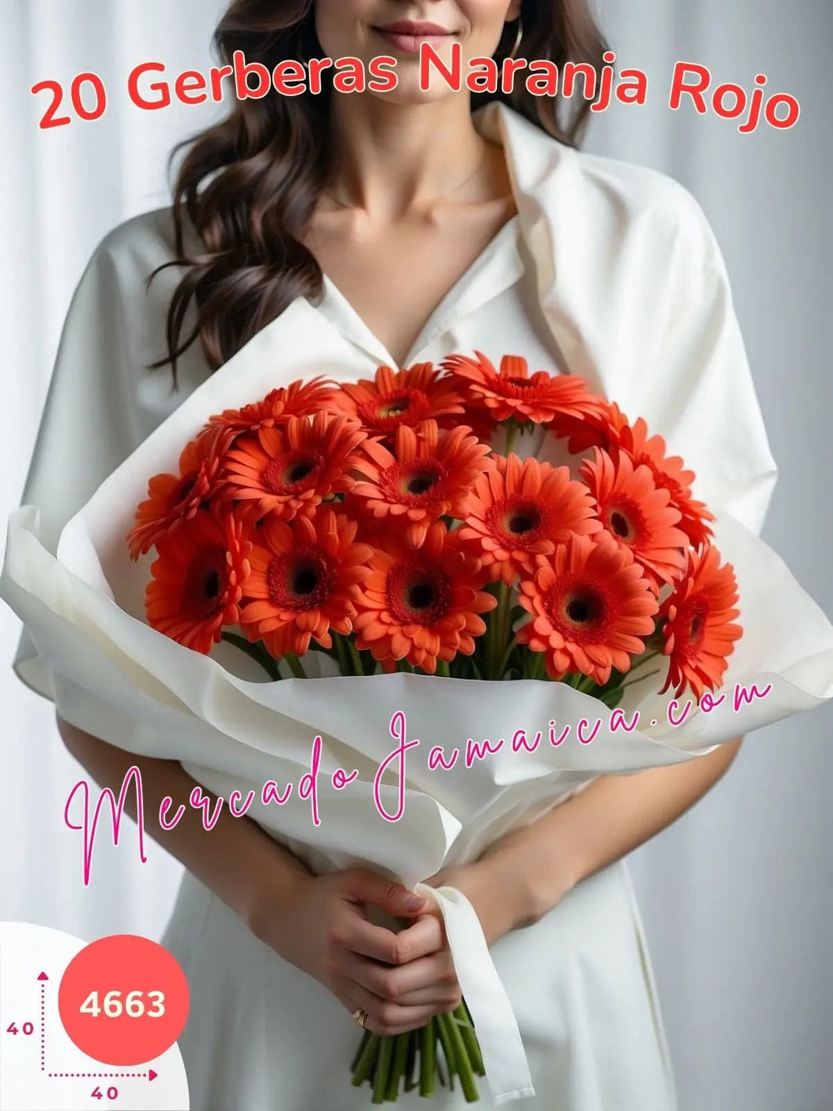 Ramo 20 Gerberas Naranja Tallo Largo · CDMX