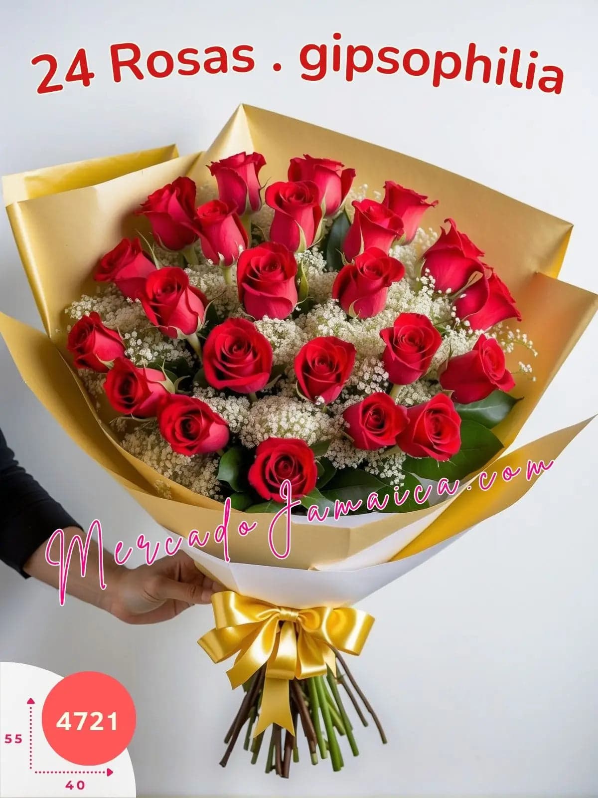 24 Rosas Rojas con Gypsophilia a Domicilio CDMX