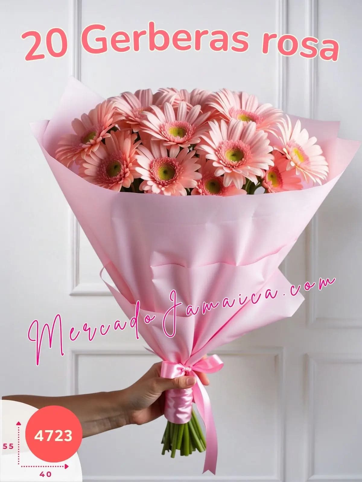 Ramo 20 Gerberas Rosa a Domicilio CDMX