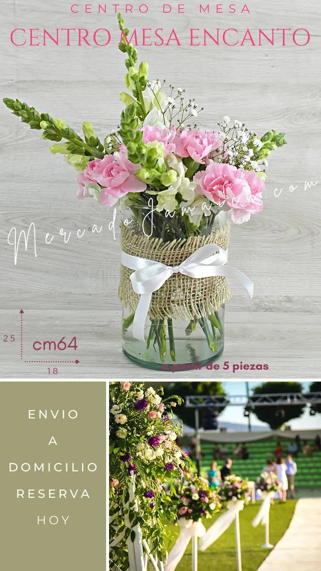 Centro Mesa Claveles Rosa CDMX | 15×25 cm