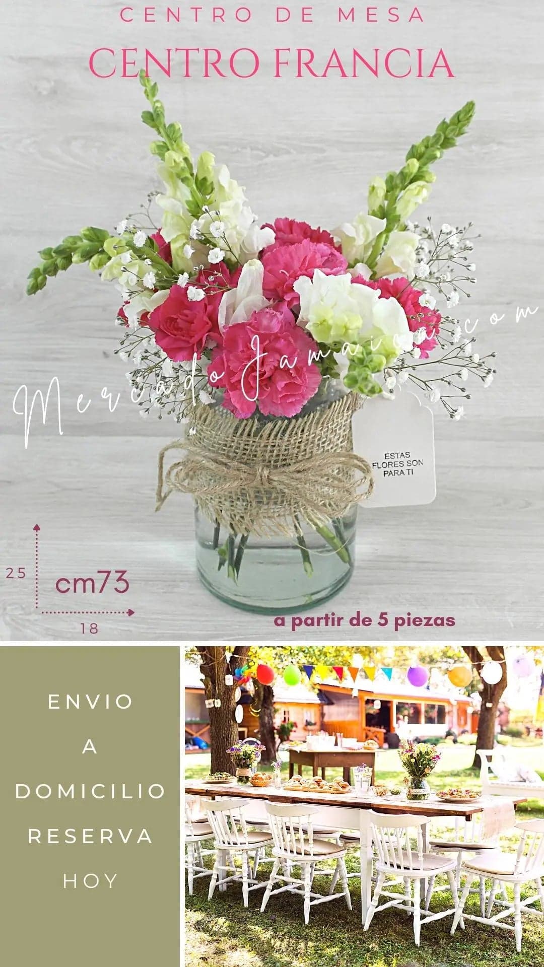 Centro Mesa Claveles y Perritos Fucsia CDMX