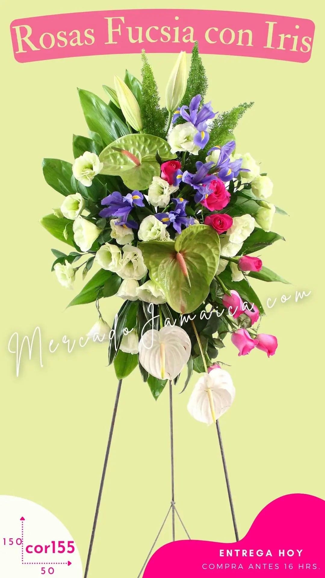 Medallón Fúnebre Rosas Fucsia e Iris CDMX