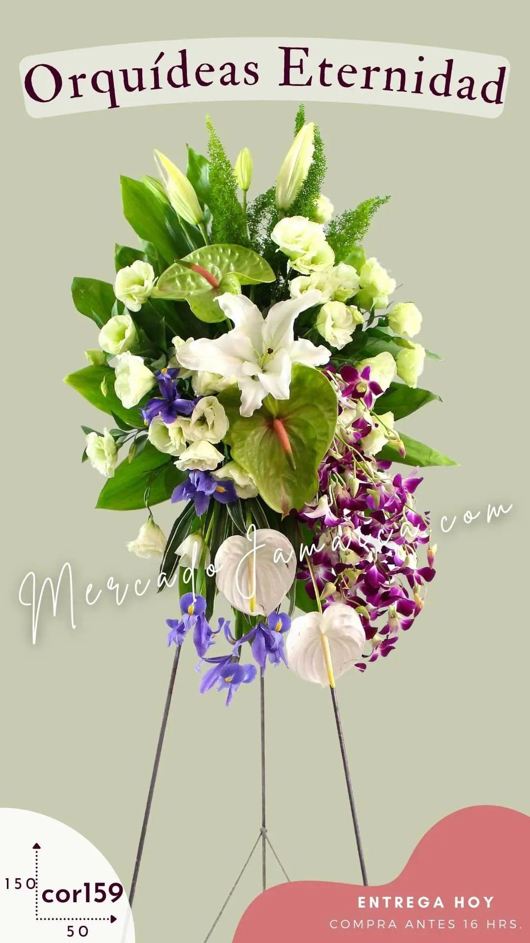 Medallón Fúnebre Orquídeas Eternity CDMX