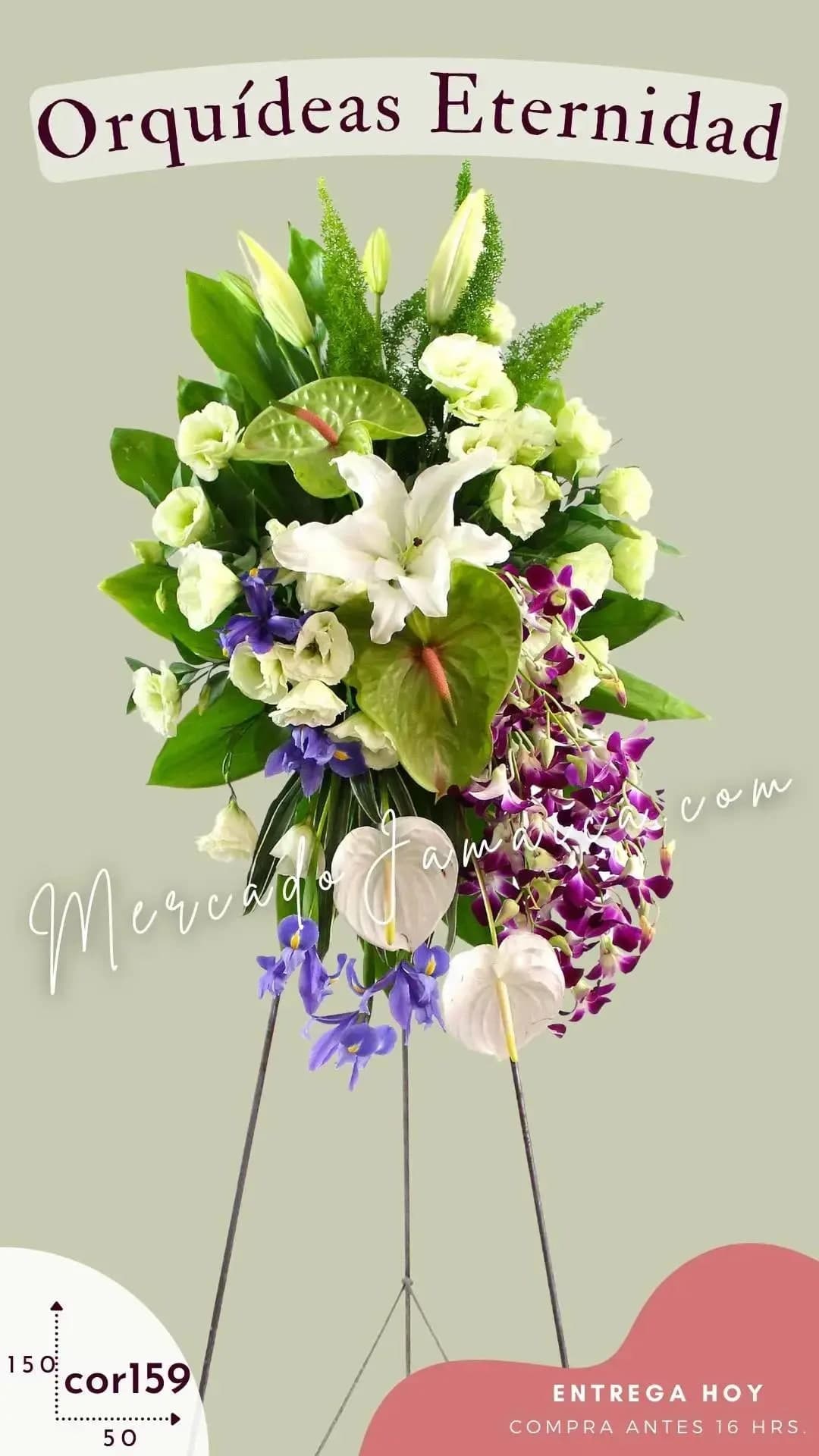 Medallón Fúnebre Orquídeas Eternity CDMX