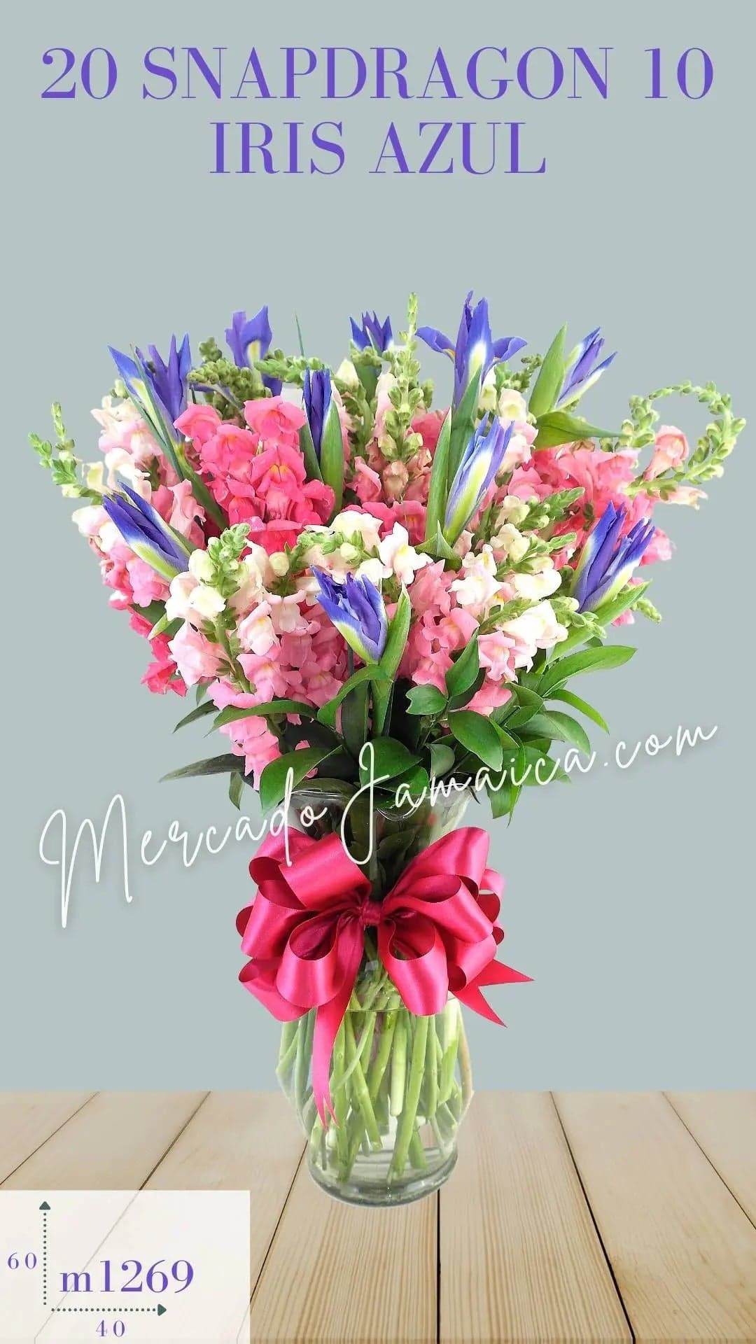Arreglo Snapdragon Rosa e Iris Azul | CDMX