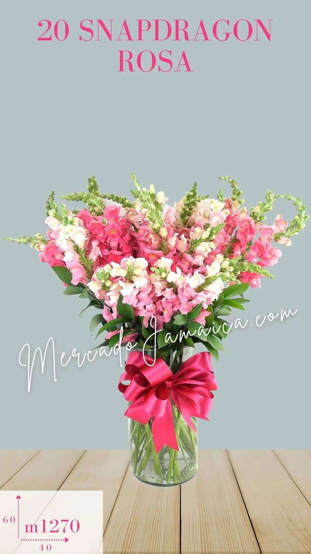Arreglo 20 Snapdragon Rosa en Cilindro CDMX