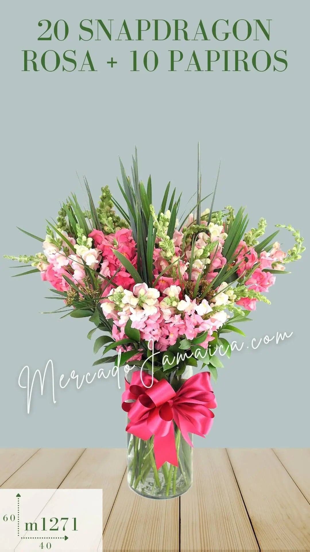 Arreglo 20 Snapdragon Rosa en Cilindro · CDMX