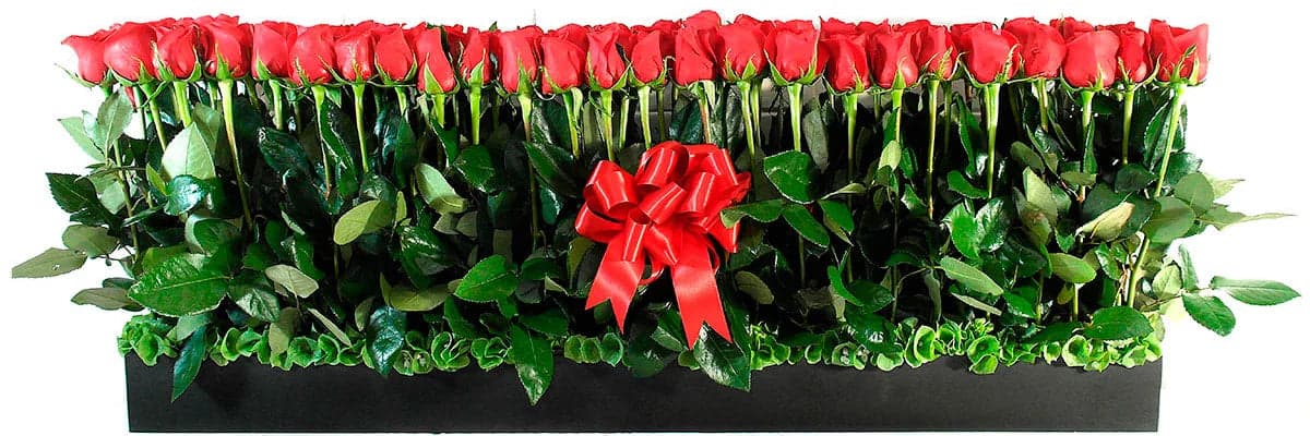 100 Rosas Rojas en Base de Madera | CDMX