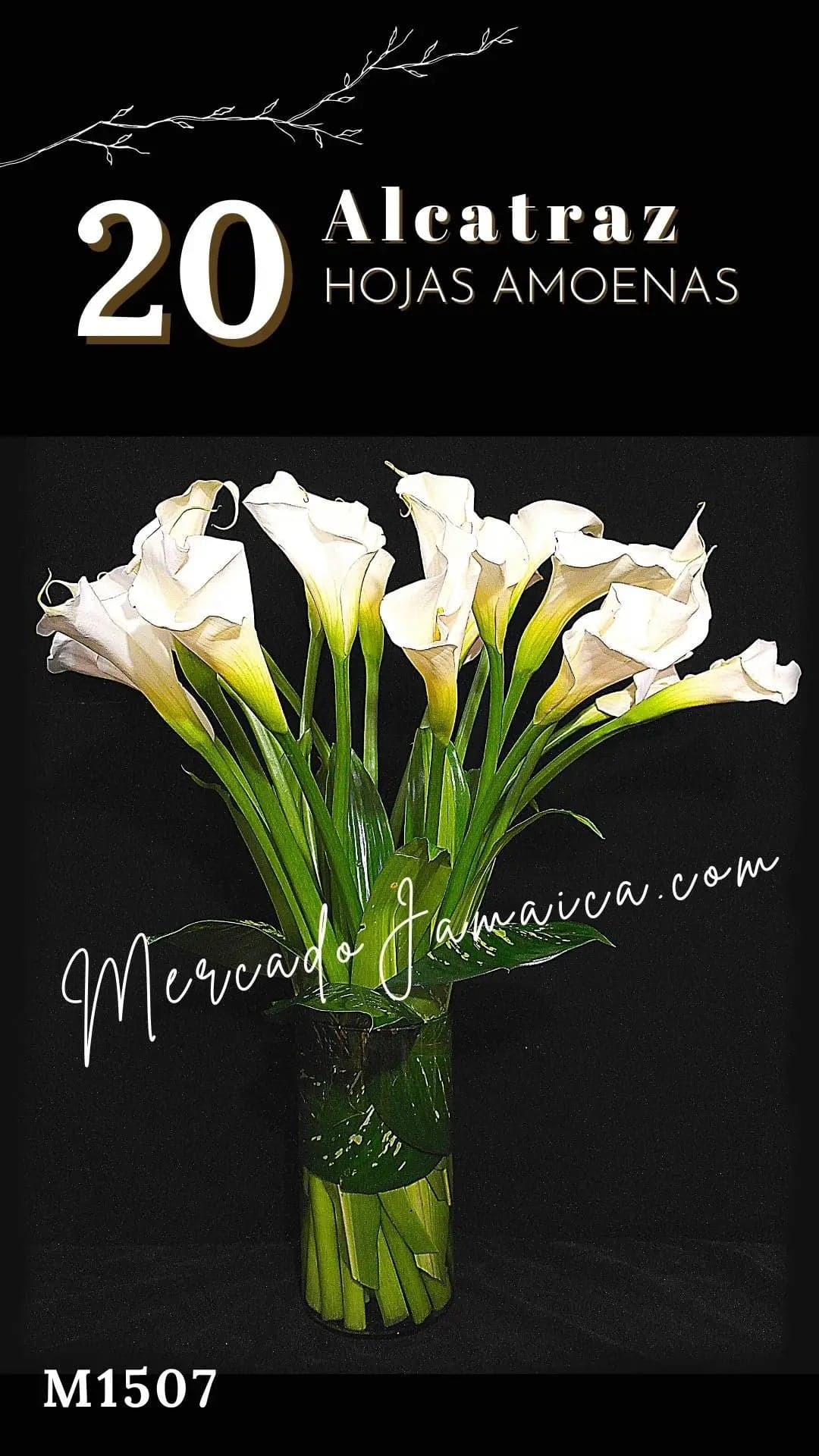 20 Alcatraces Blancos en Florero Cilindro CDMX