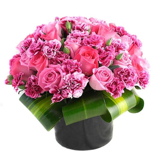 Arreglo 12 Rosas Aqua y Fucsia con Claveles CDMX
