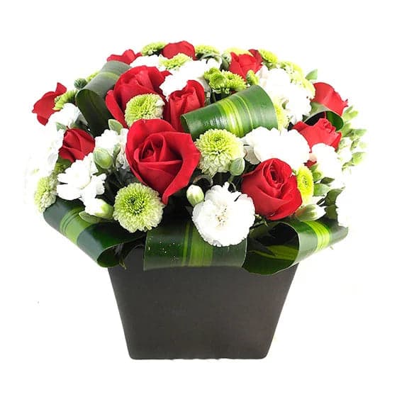24 Rosas Rojas y Claveles Blancos a Domicilio CDMX