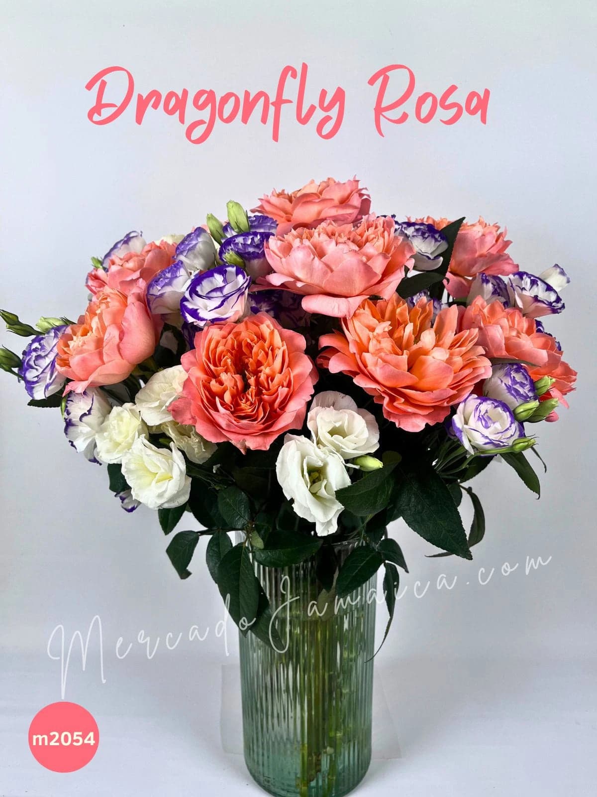 10 Rosas Inglesas Dragonfly Rosa Durazno CDMX