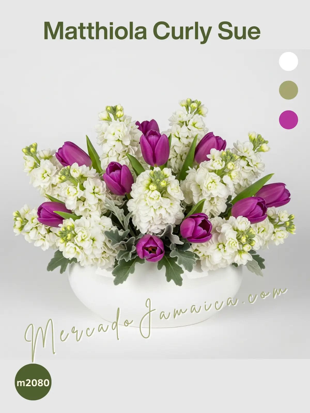 20 Matthiolas y Tulipanes Morados en Florero · CDMX
