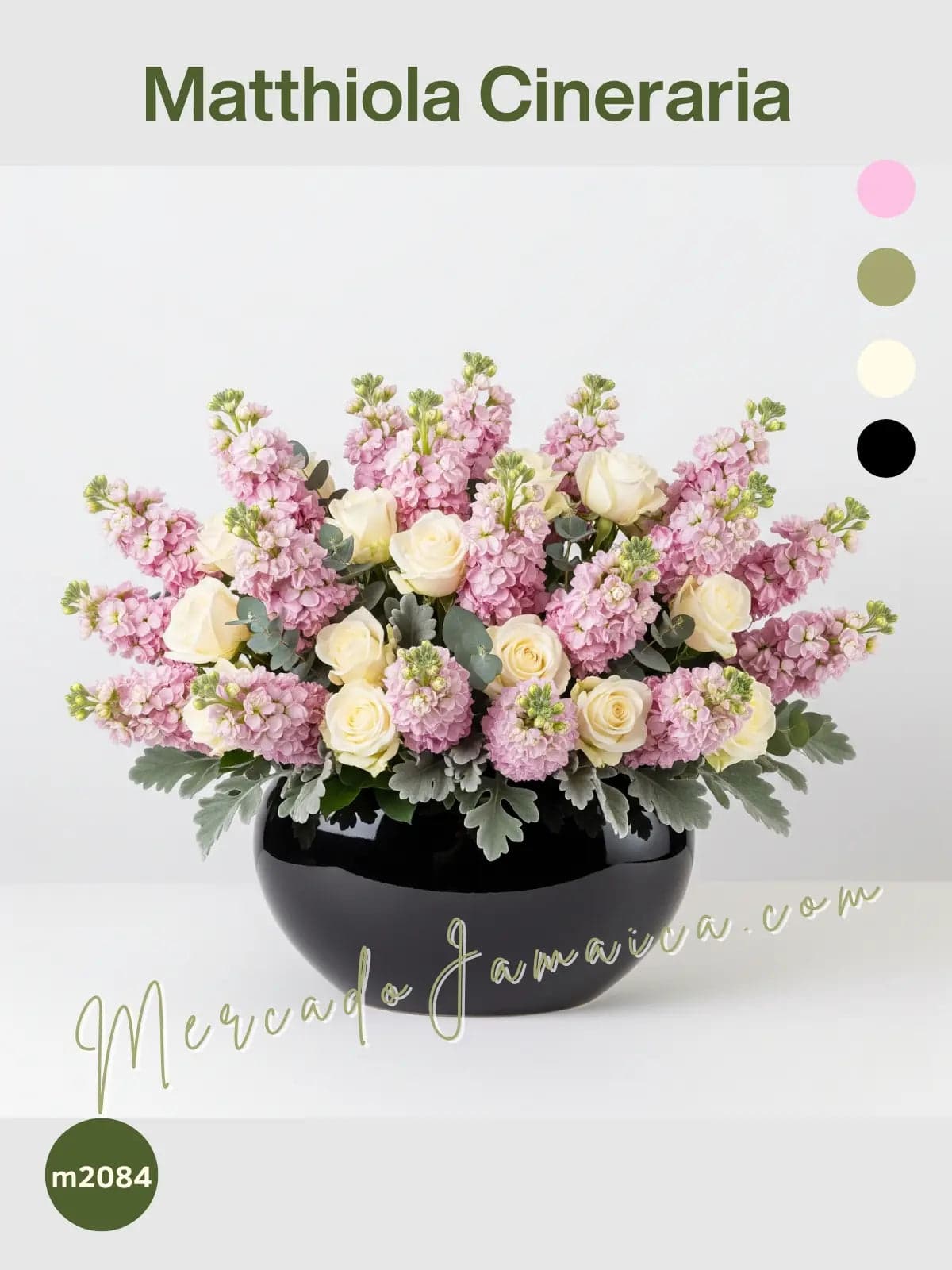 Arreglo 24 Rosas Crema y Matthiolas CDMX