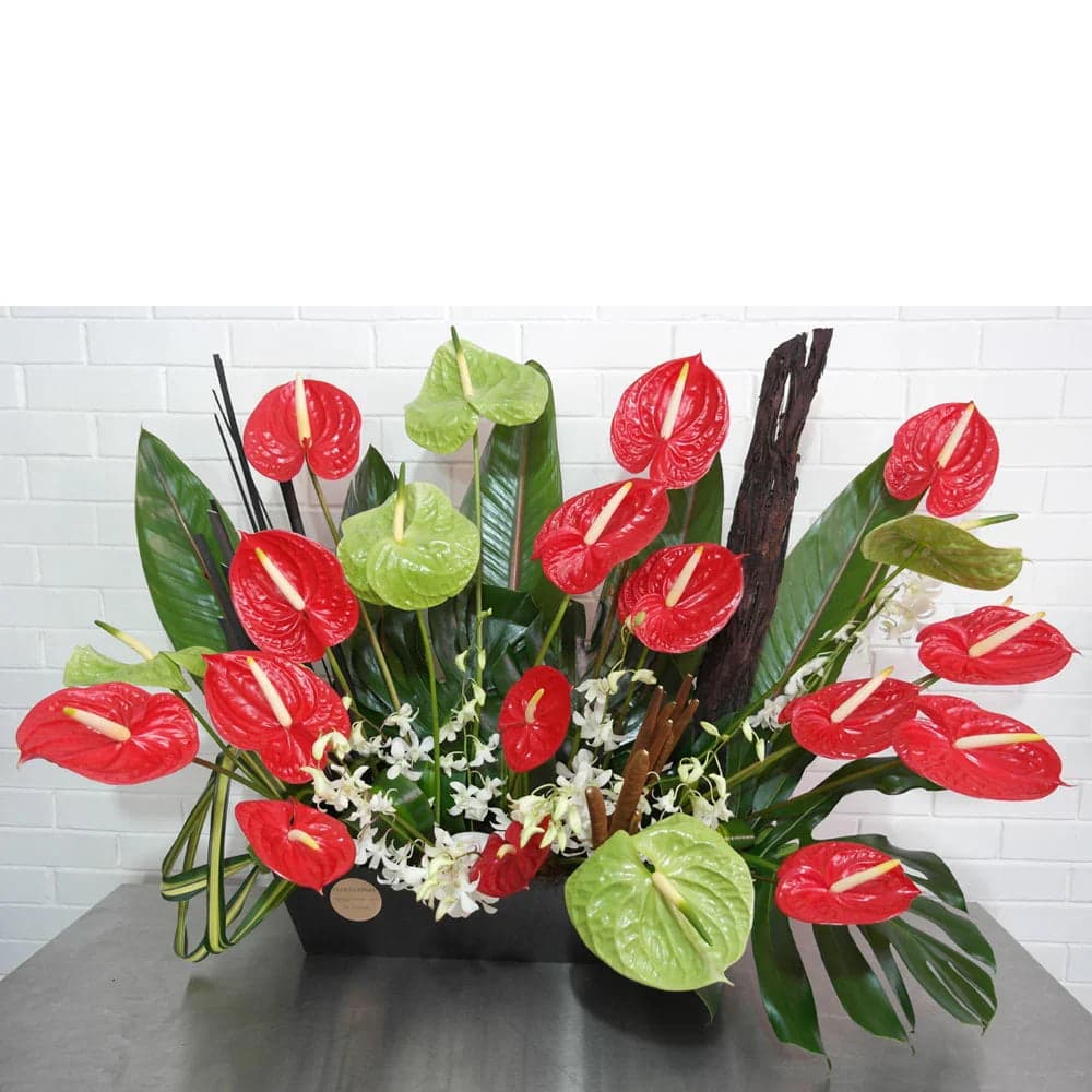 Arreglo 25 Anturios y 10 Orquídeas Dendrobium CDMX
