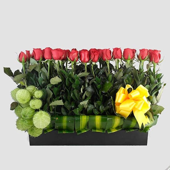 39 Rosas Fiorella Doux Rojas en Jardinera CDMX