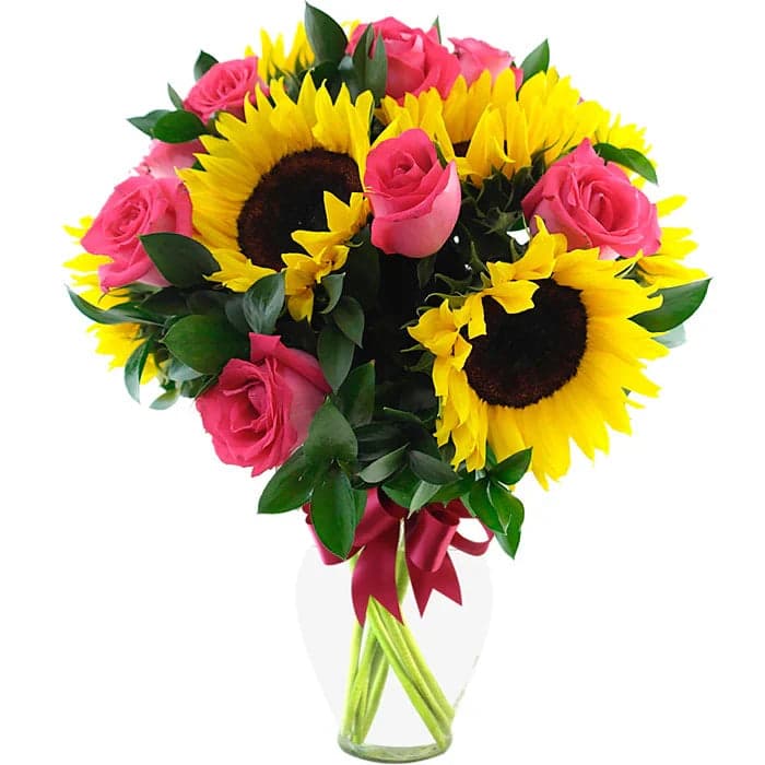 24 Rosas Fucsia con Girasoles a Domicilio CDMX