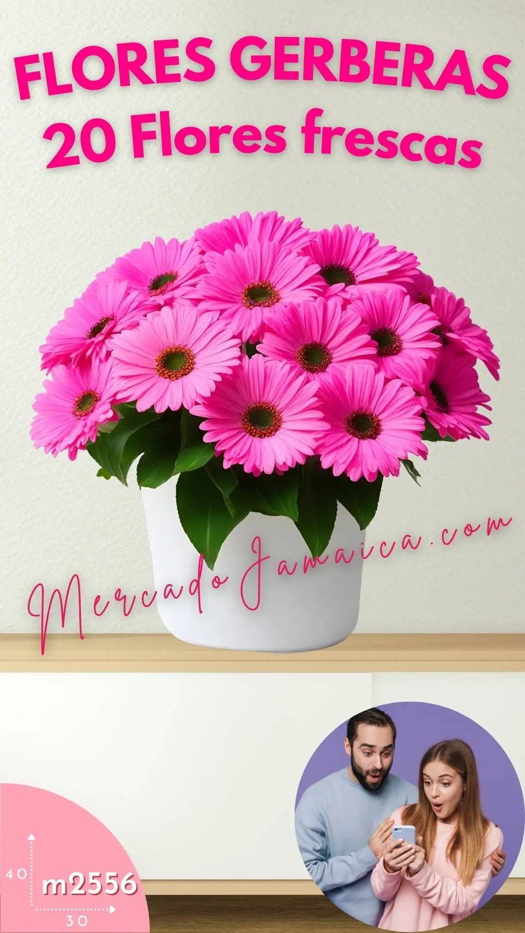 Arreglo 20 Gerberas Fucsia en Cerámica CDMX
